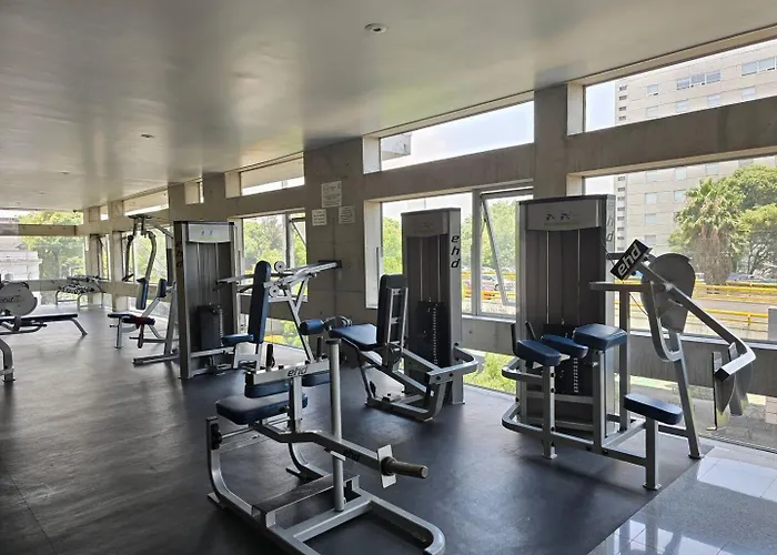 Cute Condesa Indoor Pool Gym México DF